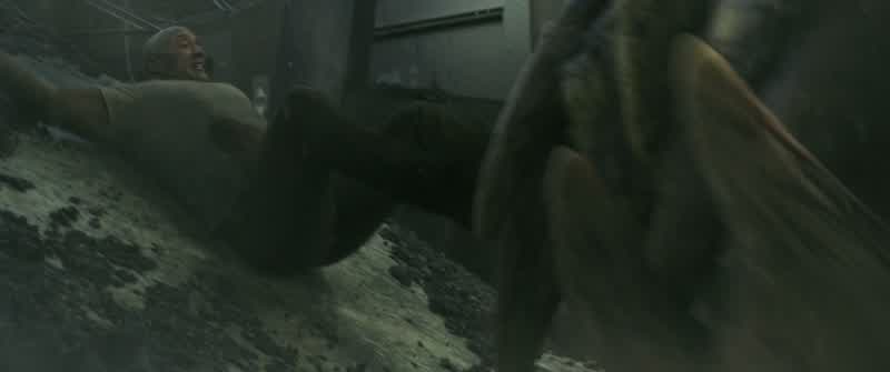 Of course the wolf flies
