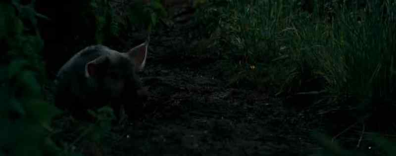 Off you go, piglet. That's it