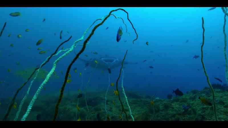 Off southern Mozambique