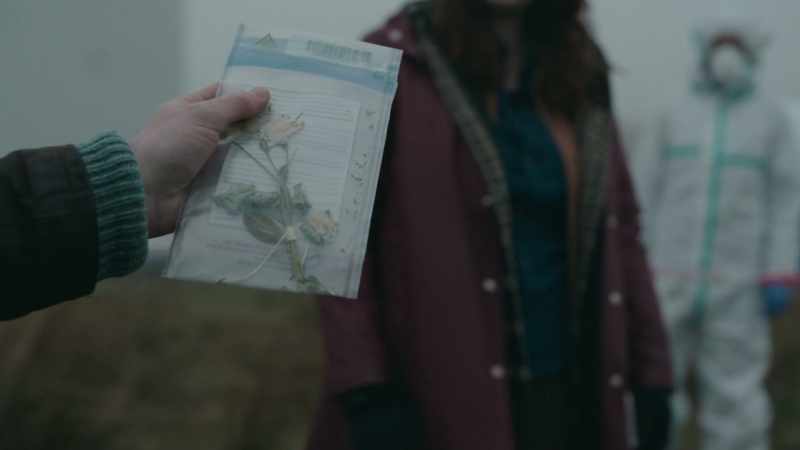 'Often damaged by a previous traumatic event