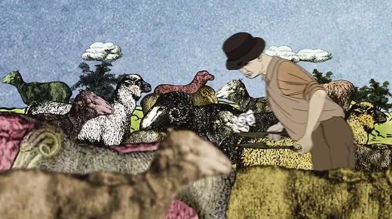 Often, that meant scrawny sheep fit to be sweaters