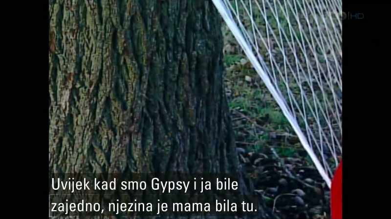 Ogni volta che Gypsy e io eravamo insieme