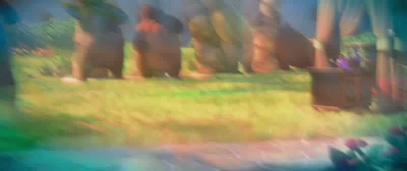 NICK Oh boyDoes this make you uncomfortableBecause if so there is no shame in calling it quitsYes there isBoy that's the spiritLAUGHINGYAX Yeah some mammals saythe naturalist life is weirdbut you know