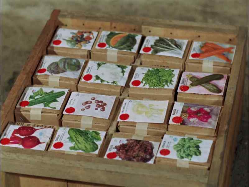 OH, BOY. PACKAGES OF SEEDS