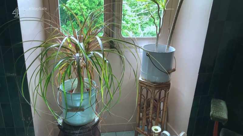Oh, buckets are just plants in different Heights
