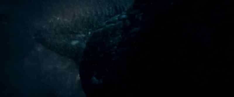 Oh, come on. They can fly?