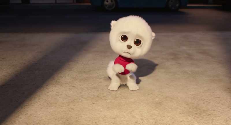 Oh, cute little doggy