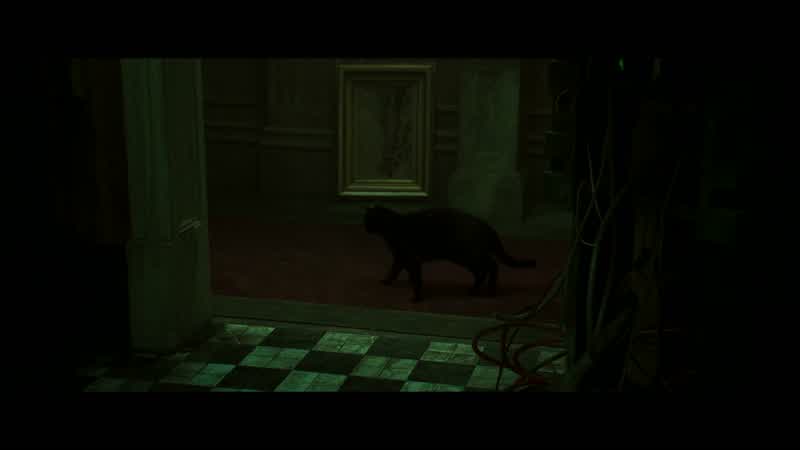 Oh deja vuWhat did you just sayNothing Just deja vuWhat did you see What happenedA black cat went past usthen another just like itWas it the same catI'm not sure Switch ApocWhat is itA deja vu is