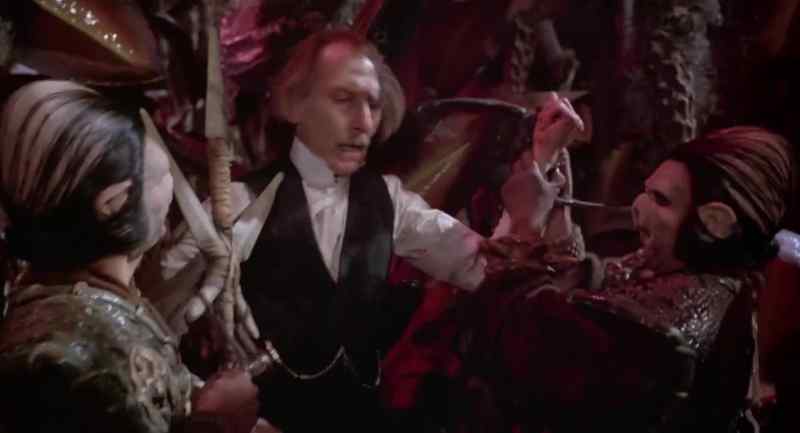 Oh, dear