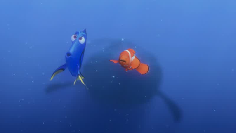 It's just as well He might be hungryWhales don't eat clownfish They eat krillSwim away Oh look krill