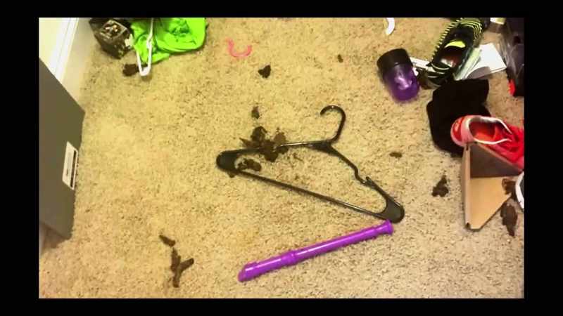 Oh, my God, did he trash that house