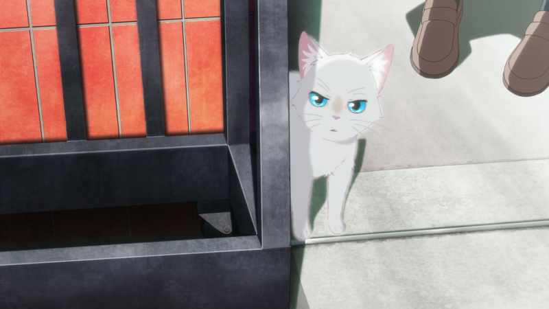 Oh, my God, it's so cute! Where did you come from?