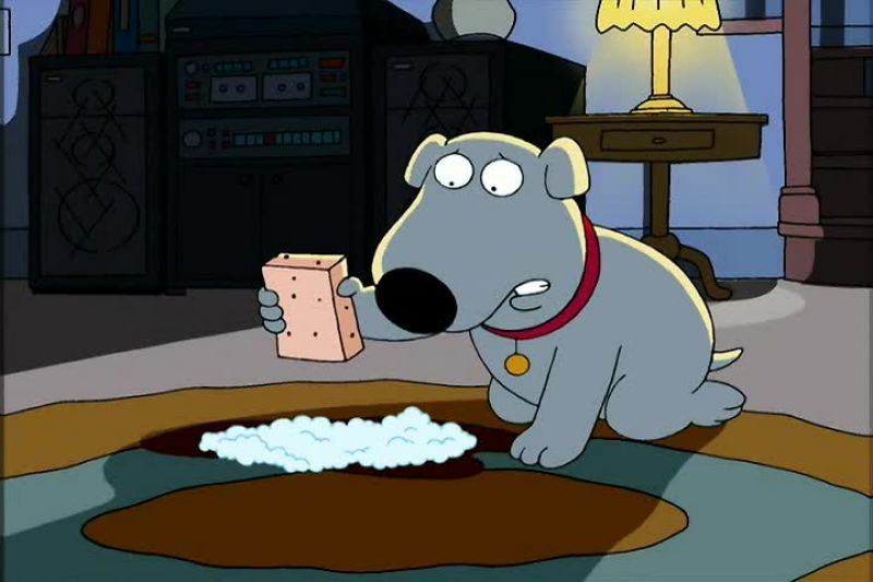 Oh, God. Not again, Brian. Why can't you stop peeing on the carpet?