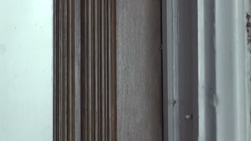 Oh, good, someone's home