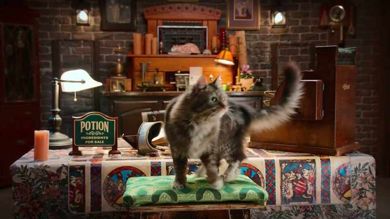 Oh my gosh, you guys. A secret, tiny, cat-sized magic shop!