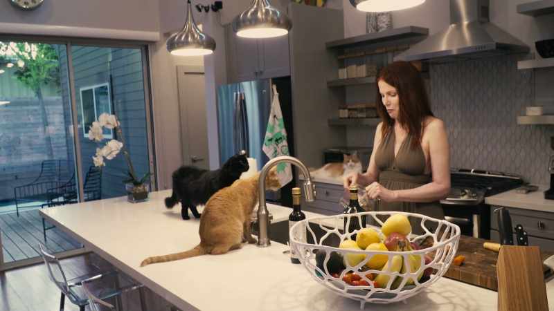 Oh, my gosh, I love cats