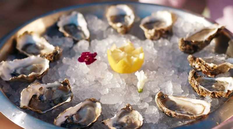 Oh my gosh, look at them! Do you like oysters?