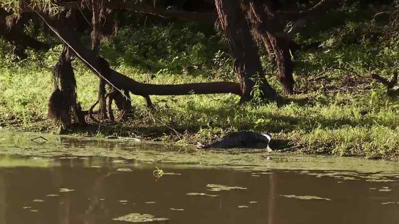 Oh, you got one on the bank here, pa