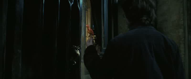Oh, Harry