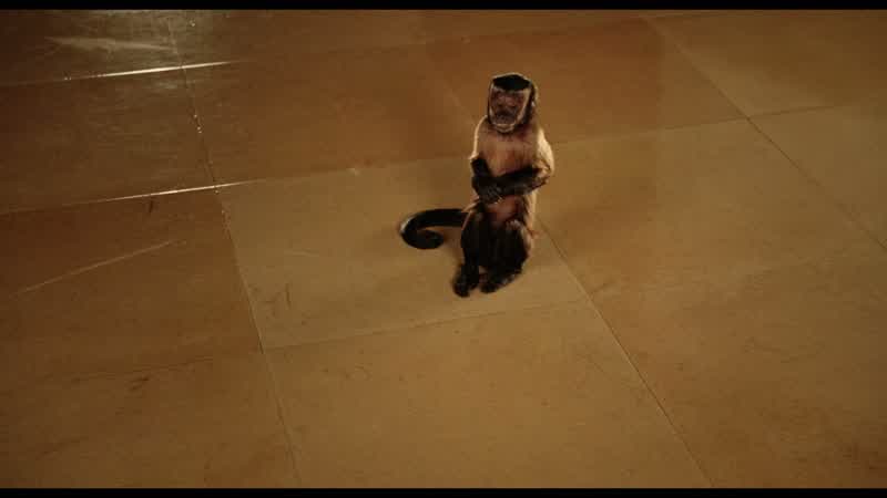 Oh, hey, Dexter