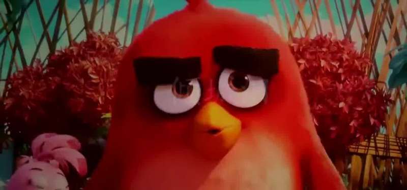 Oh hi Red