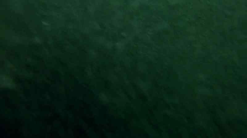 Oh ho I got hit by a wave like that once