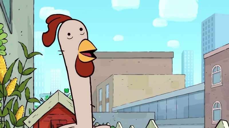 Oh, how exciting! A new chicken