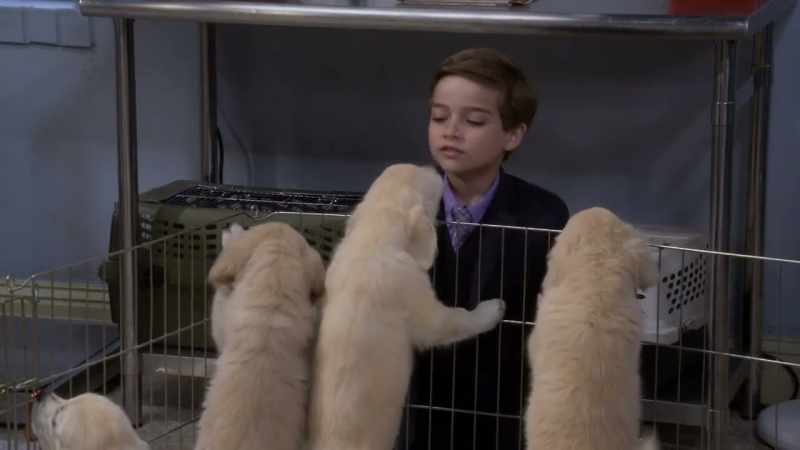 Oh, I love that new puppy smell!