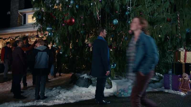 Oh, I will have you know this is not just any big tree