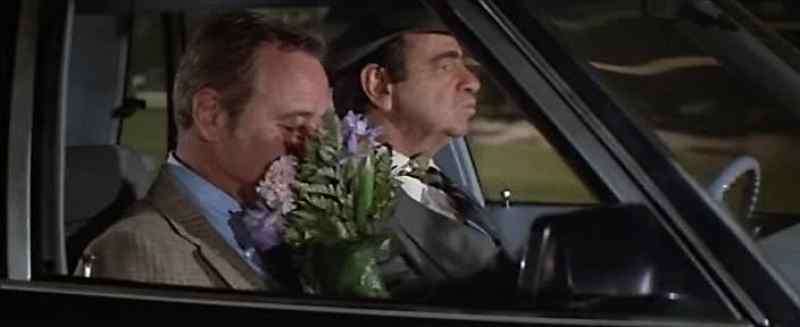 Oh, I'll bring these flowers along