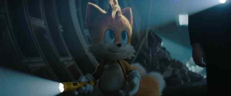 Oh, I'm not Sonic's assistant. We're teammates