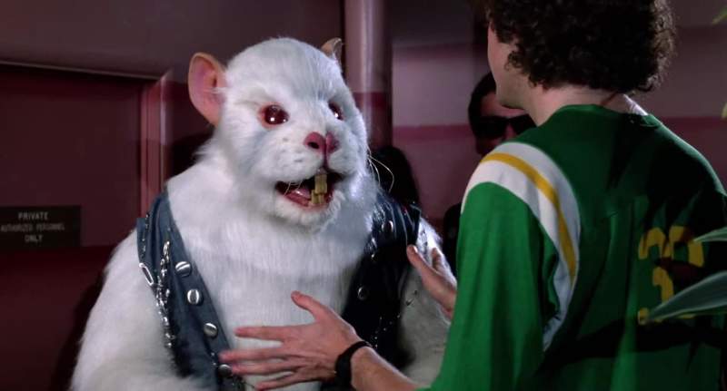 Oh I'm sorry we don't let any more mice in here