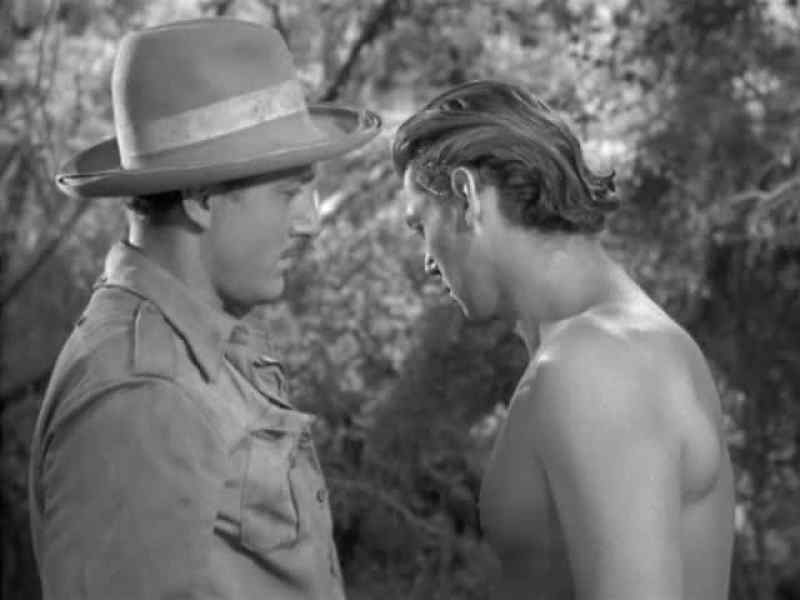 Oh, I'm sorry, Tarzan, but you see