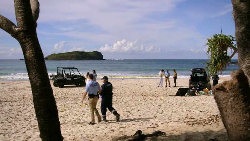 Oh, you know, just a plane strafing the beach with bullets