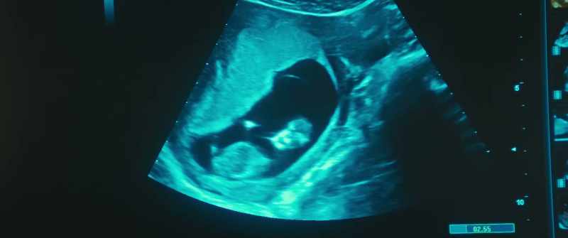 Oh, and look at you, waving already