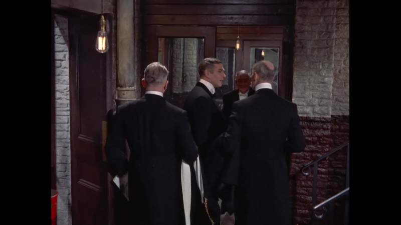 Oh you look so like a fox with those eyebrows