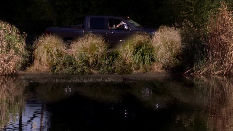 OH! LOOK, THERE'S SOMEBODY ON THE SHORE!