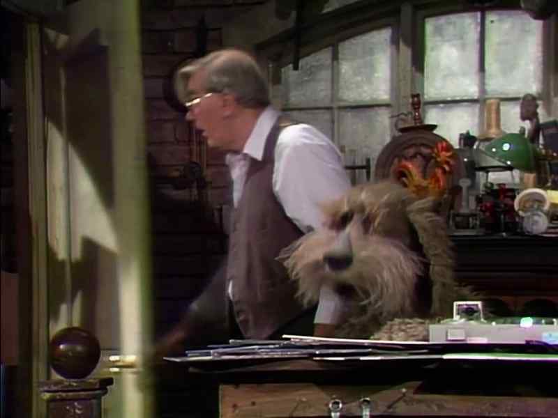 Oh, Mr. Shimmelfinney
