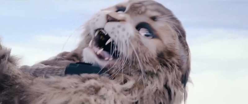 Oh, nice kitty-cat…