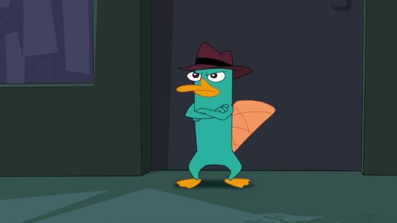 Oh Perry the Platypus Hello