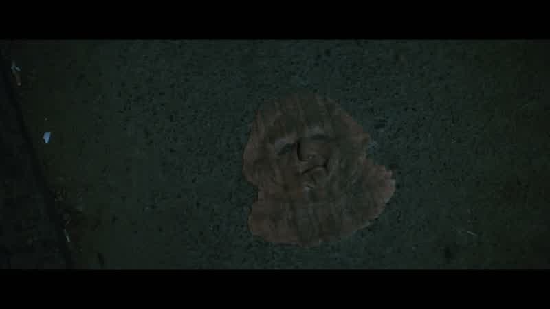 Oh, shit!