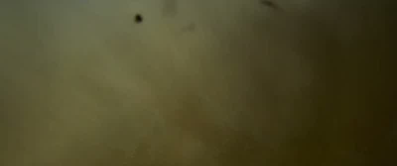 Oh, shit!