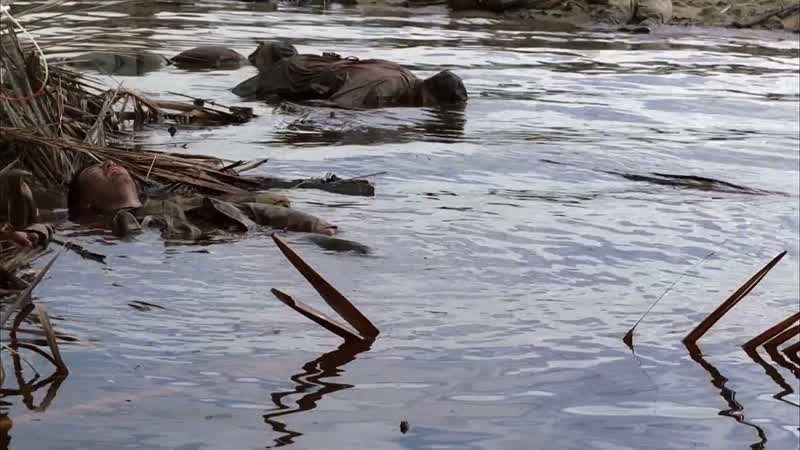 Oh, shit, these must be the bastards who took guam