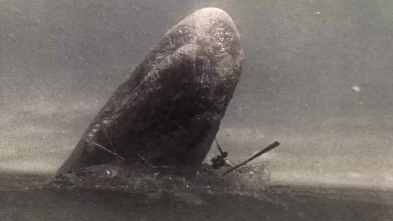 Oh, ye whale! Ye damned whale!