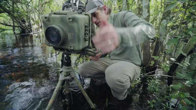 Oh, yeah, here comes a bear straight at the camera