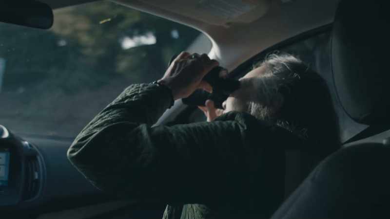 Oh yeah, that looks like a trail