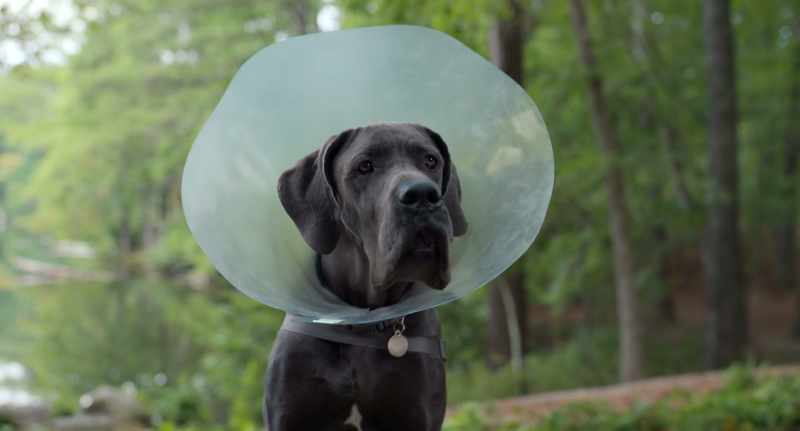 Oh, yeah. Yeah, I know. I should probably take it off