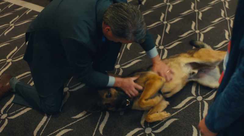 Oh! Yes! What a good boy!