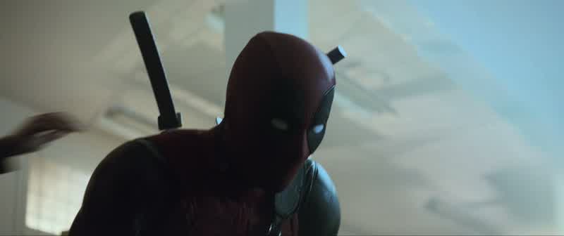 You little spider monkey