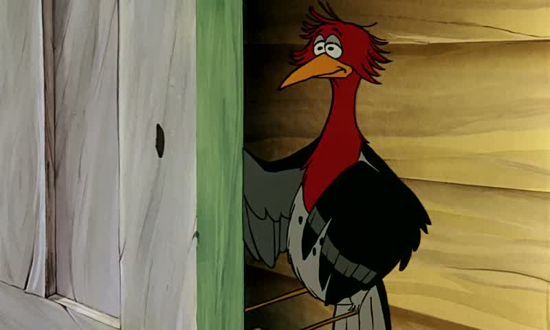 Oh, you pesky birds!